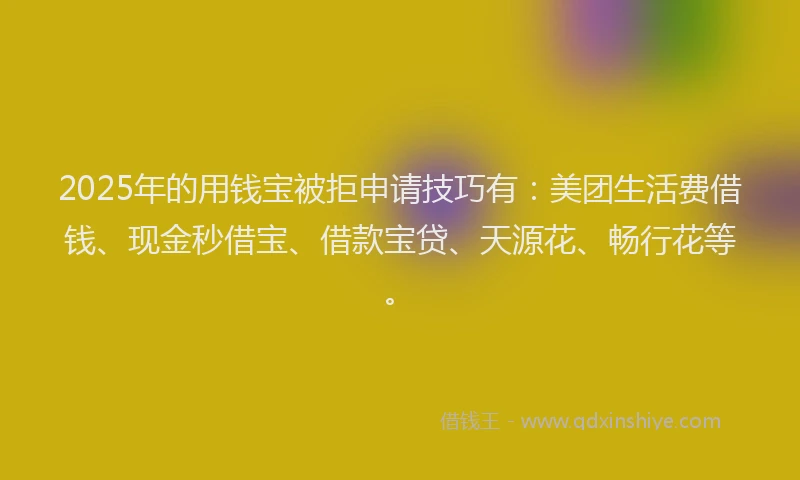 2025年的用钱宝被拒申请技巧有：美团生活费借钱、现金秒借宝、借款宝贷、天源花、畅行花等。