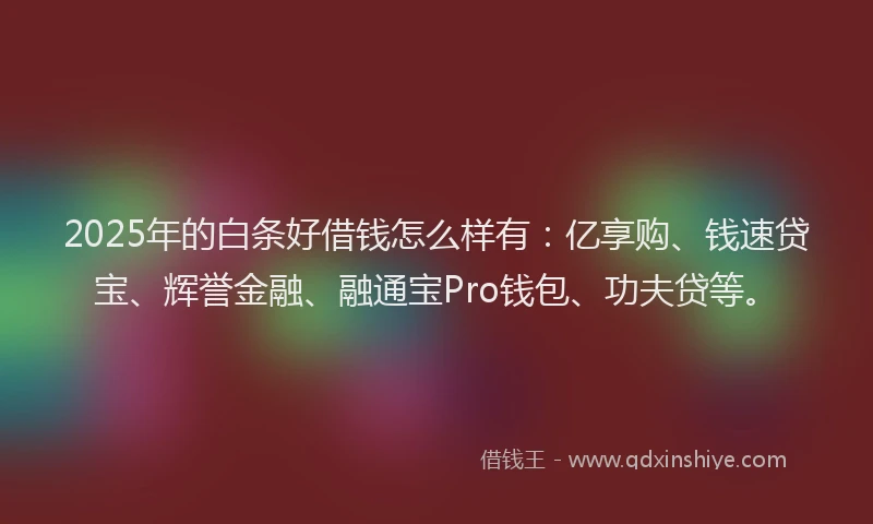 2025年的白条好借钱怎么样有：亿享购、钱速贷宝、辉誉金融、融通宝Pro钱包、功夫贷等。