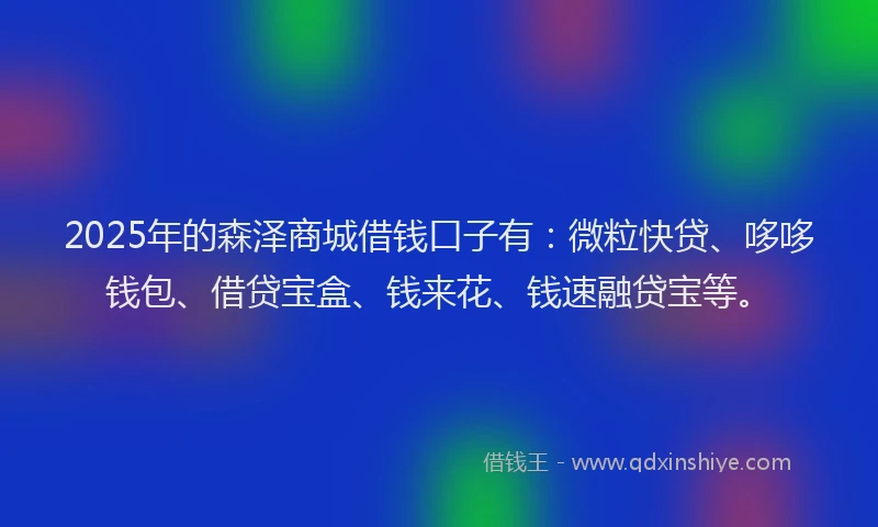 2025年的森泽商城借钱口子有：微粒快贷、哆哆钱包、借贷宝盒、钱来花、钱速融贷宝等。
