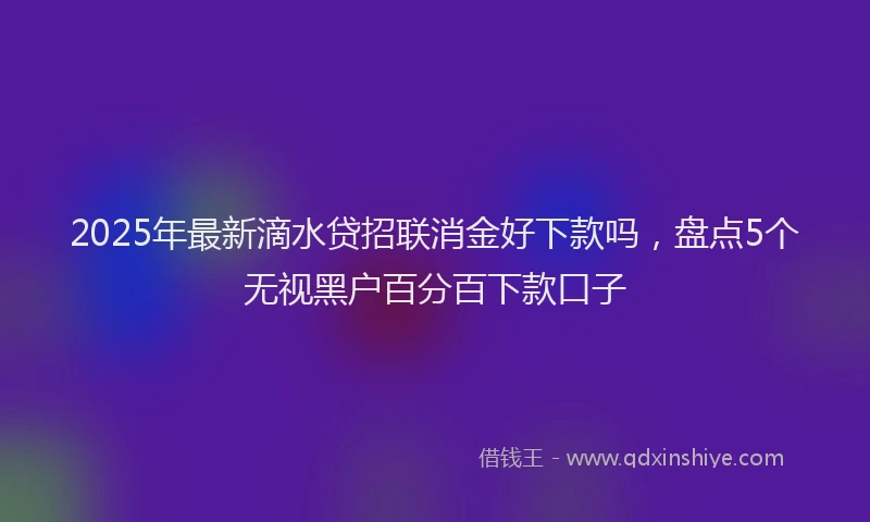 2025年最新滴水贷招联消金好下款吗，盘点5个无视黑户百分百下款口子