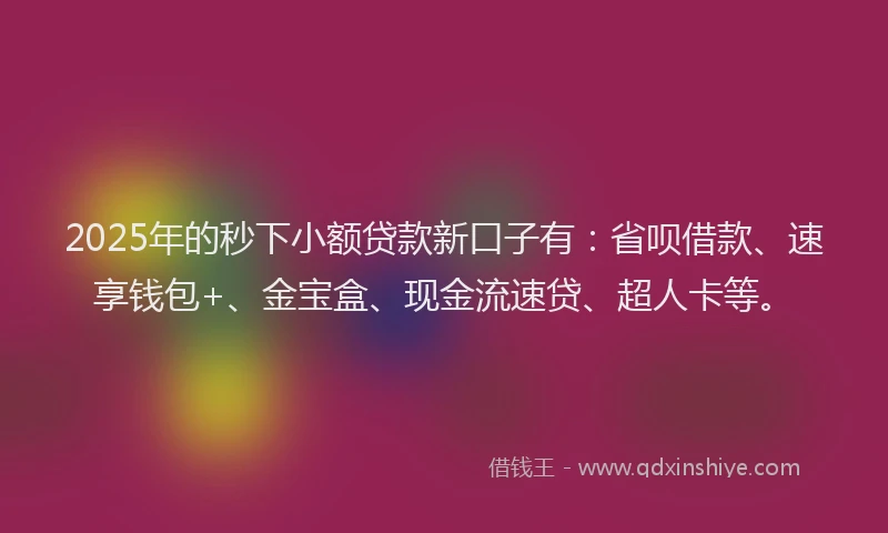2025年的秒下小额贷款新口子有：省呗借款、速享钱包+、金宝盒、现金流速贷、超人卡等。
