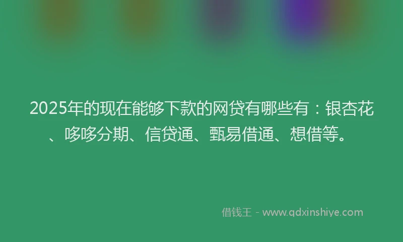 2025年的现在能够下款的网贷有哪些有：银杏花、哆哆分期、信贷通、甄易借通、想借等。