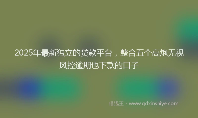 2025年最新独立的贷款平台，整合五个高炮无视风控逾期也下款的口子