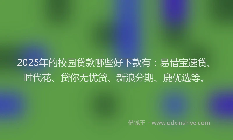 2025年的校园贷款哪些好下款有：易借宝速贷、时代花、贷你无忧贷、新浪分期、鹿优选等。