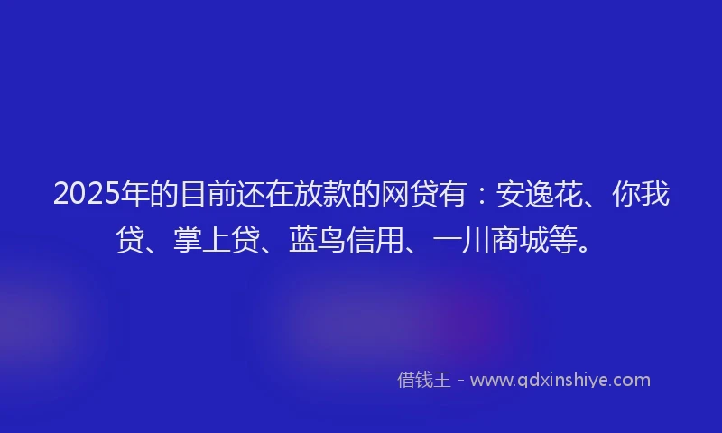 2025年的目前还在放款的网贷有：安逸花、你我贷、掌上贷、蓝鸟信用、一川商城等。