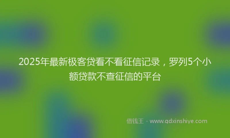 2025年最新极客贷看不看征信记录，罗列5个小额贷款不查征信的平台