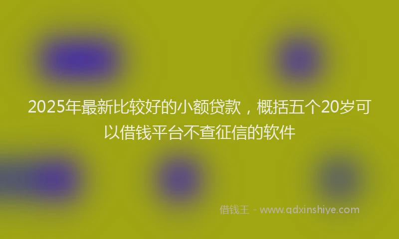 2025年最新比较好的小额贷款，概括五个20岁可以借钱平台不查征信的软件