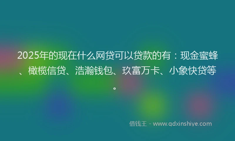 2025年的现在什么网贷可以贷款的有：现金蜜蜂、橄榄信贷、浩瀚钱包、玖富万卡、小象快贷等。
