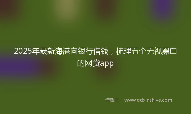2025年最新海港向银行借钱，梳理五个无视黑白的网贷app