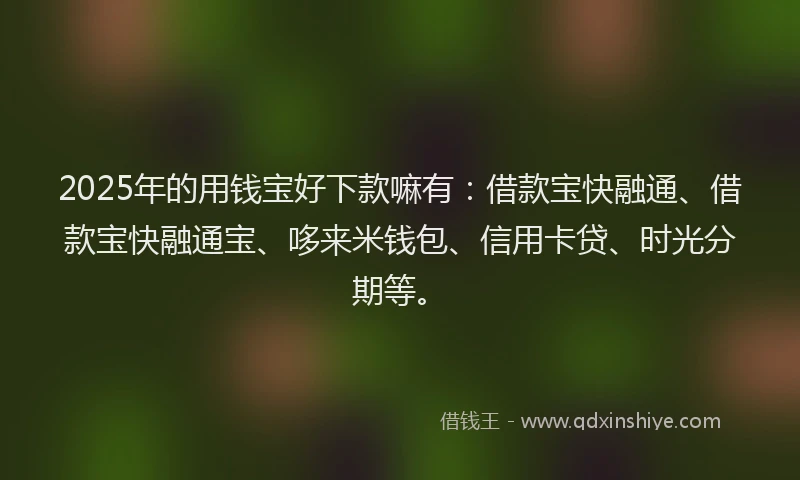 2025年的用钱宝好下款嘛有：借款宝快融通、借款宝快融通宝、哆来米钱包、信用卡贷、时光分期等。