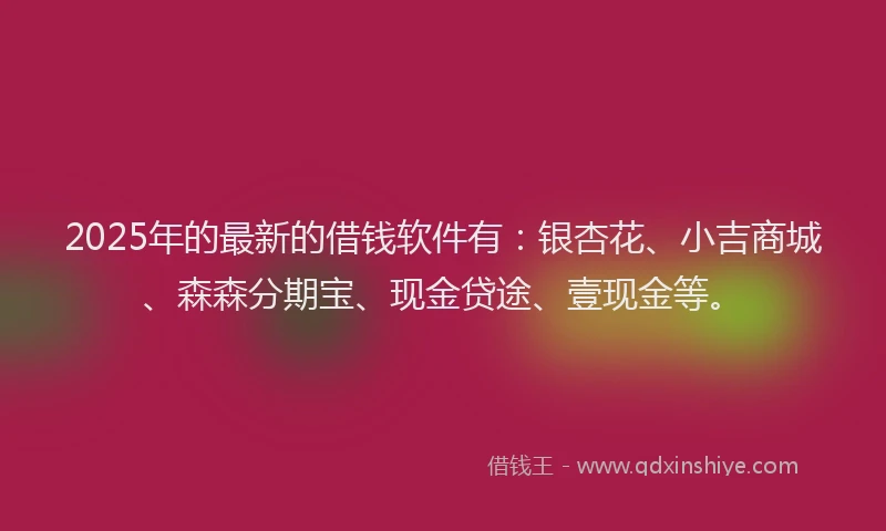 2025年的最新的借钱软件有：银杏花、小吉商城、森森分期宝、现金贷途、壹现金等。