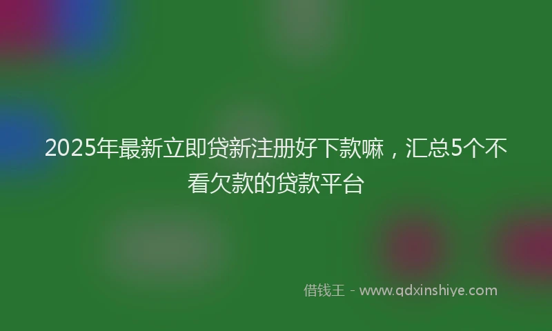 2025年最新立即贷新注册好下款嘛，汇总5个不看欠款的贷款平台