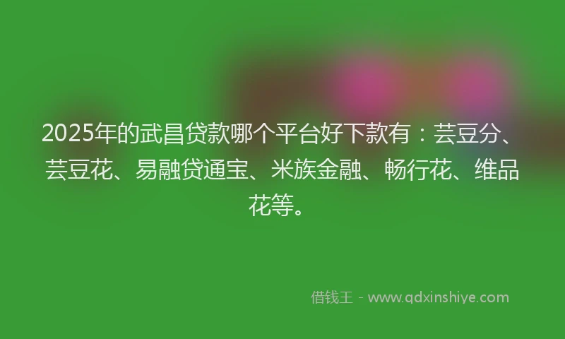2025年的武昌贷款哪个平台好下款有：芸豆分、芸豆花、易融贷通宝、米族金融、畅行花、维品花等。