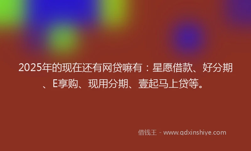 2025年的现在还有网贷嘛有：星愿借款、好分期、E享购、现用分期、壹起马上贷等。