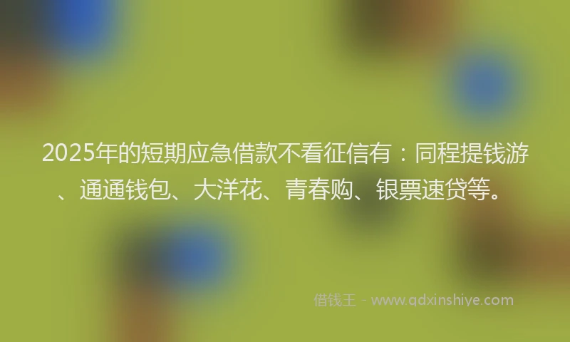 2025年的短期应急借款不看征信有：同程提钱游、通通钱包、大洋花、青春购、银票速贷等。