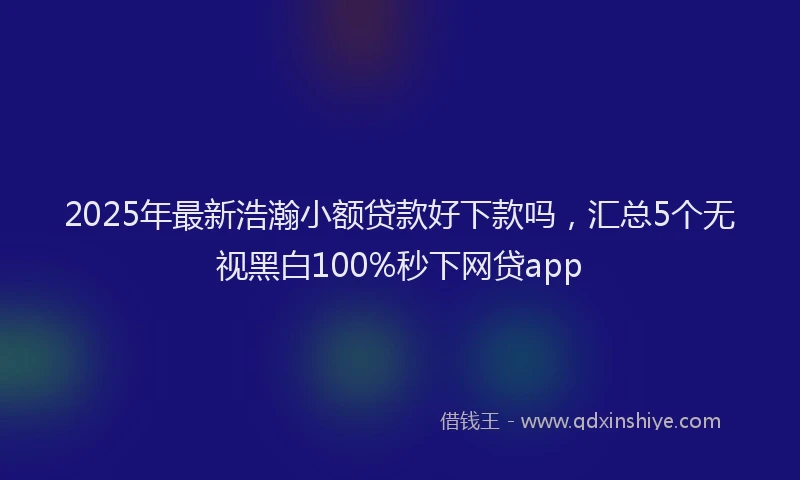 2025年最新浩瀚小额贷款好下款吗，汇总5个无视黑白100%秒下网贷app