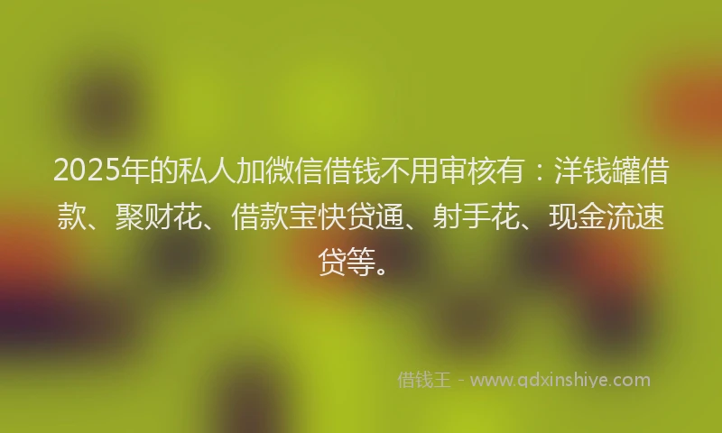 2025年的私人加微信借钱不用审核有：洋钱罐借款、聚财花、借款宝快贷通、射手花、现金流速贷等。