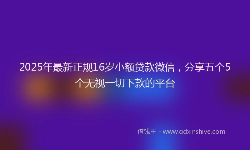2025年最新正规16岁小额贷款微信，分享五个5个无视一切下款的平台