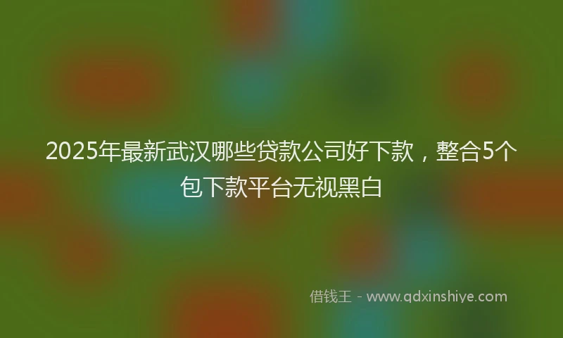 2025年最新武汉哪些贷款公司好下款，整合5个包下款平台无视黑白