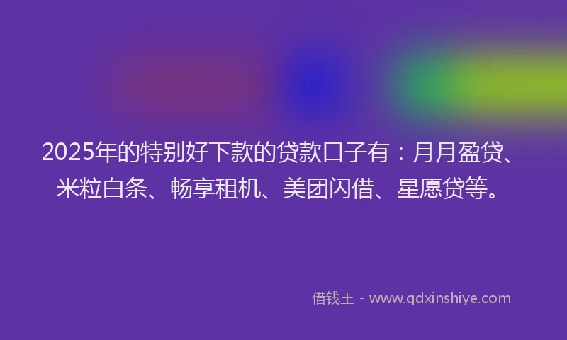 2025年的特别好下款的贷款口子有：月月盈贷、米粒白条、畅享租机、美团闪借、星愿贷等。