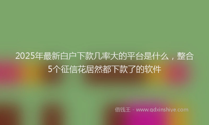 2025年最新白户下款几率大的平台是什么，整合5个征信花居然都下款了的软件
