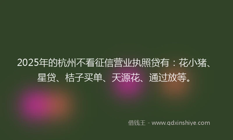 2025年的杭州不看征信营业执照贷有：花小猪、星贷、桔子买单、天源花、通过放等。