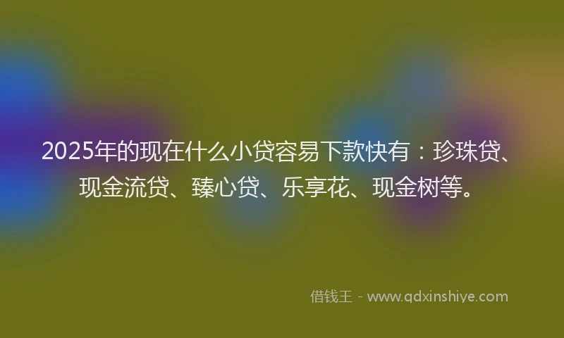 2025年的现在什么小贷容易下款快有：珍珠贷、现金流贷、臻心贷、乐享花、现金树等。