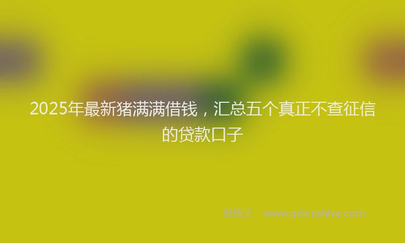 2025年最新猪满满借钱，汇总五个真正不查征信的贷款口子