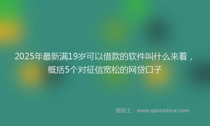 2025年最新满19岁可以借款的软件叫什么来着，概括5个对征信宽松的网贷口子