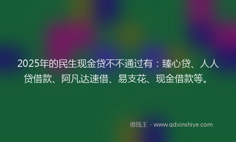 2025年的民生现金贷不不通过有：臻心贷、人人贷借款、阿凡达速借、易支花、现金借款等。