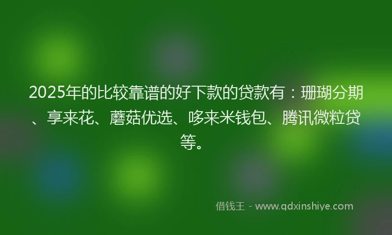 2025年的比较靠谱的好下款的贷款有：珊瑚分期、享来花、蘑菇优选、哆来米钱包、腾讯微粒贷等。