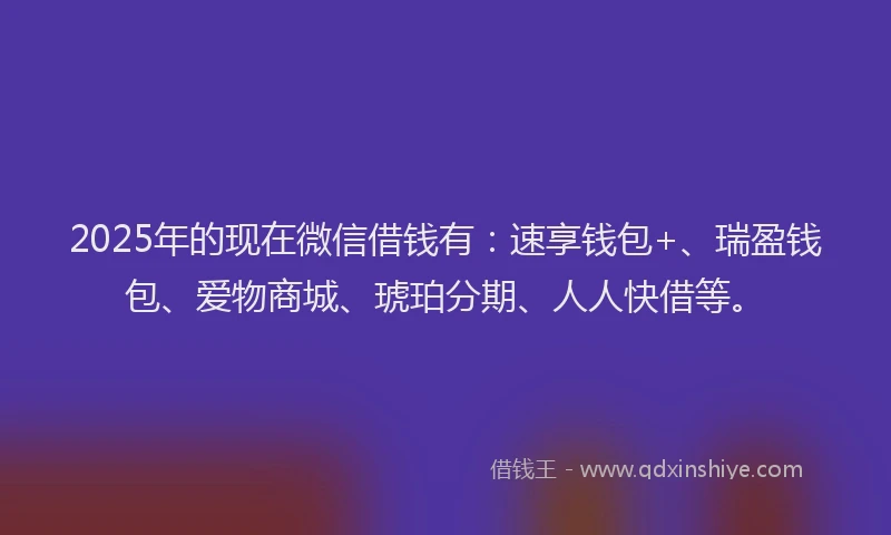 2025年的现在微信借钱有：速享钱包+、瑞盈钱包、爱物商城、琥珀分期、人人快借等。