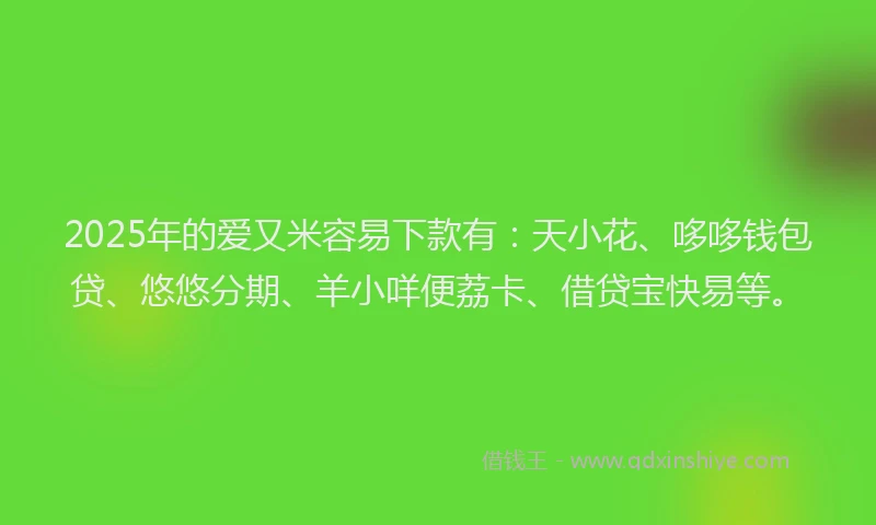 2025年的爱又米容易下款有：天小花、哆哆钱包贷、悠悠分期、羊小咩便荔卡、借贷宝快易等。