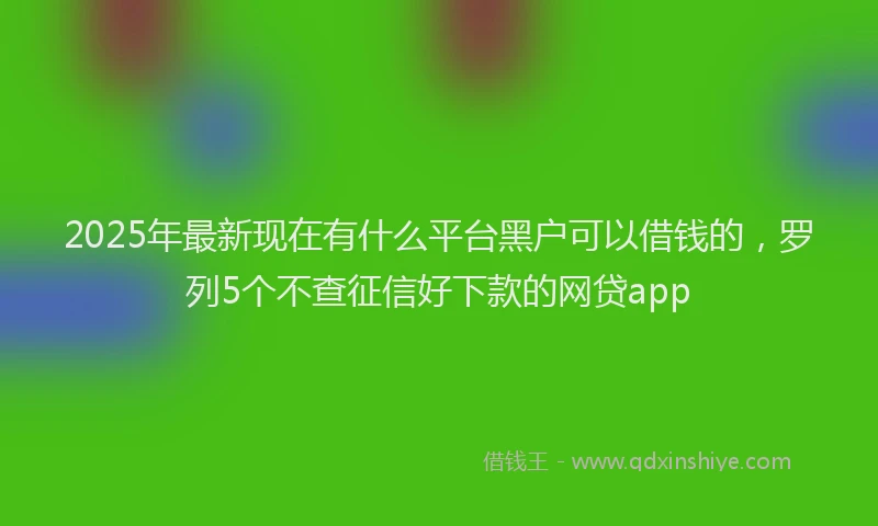 2025年最新现在有什么平台黑户可以借钱的，罗列5个不查征信好下款的网贷app