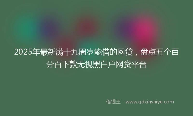 2025年最新满十九周岁能借的网贷，盘点五个百分百下款无视黑白户网贷平台