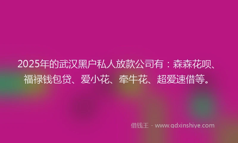 2025年的武汉黑户私人放款公司有：森森花呗、福禄钱包贷、爱小花、牵牛花、超爱速借等。