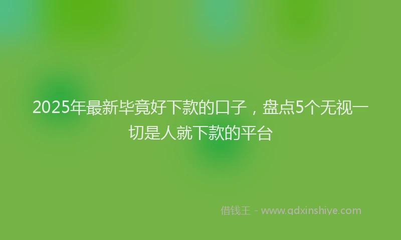 2025年最新毕竟好下款的口子，盘点5个无视一切是人就下款的平台