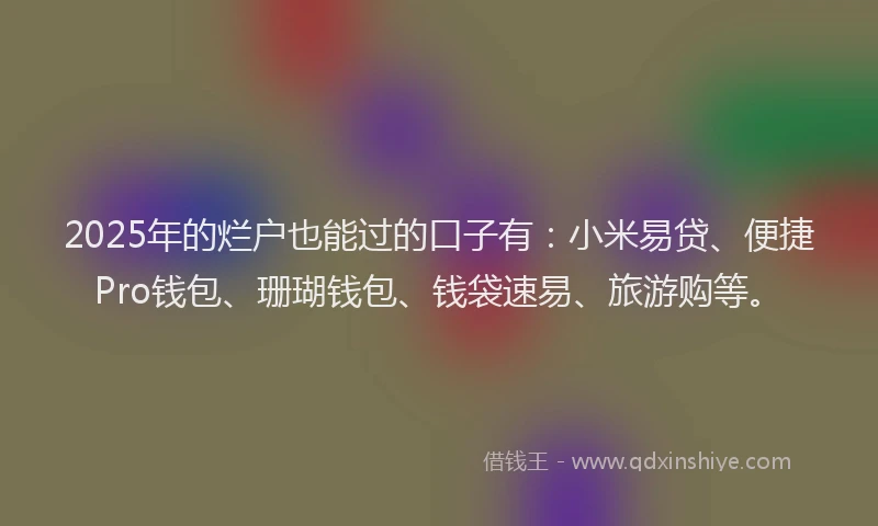 2025年的烂户也能过的口子有：小米易贷、便捷Pro钱包、珊瑚钱包、钱袋速易、旅游购等。