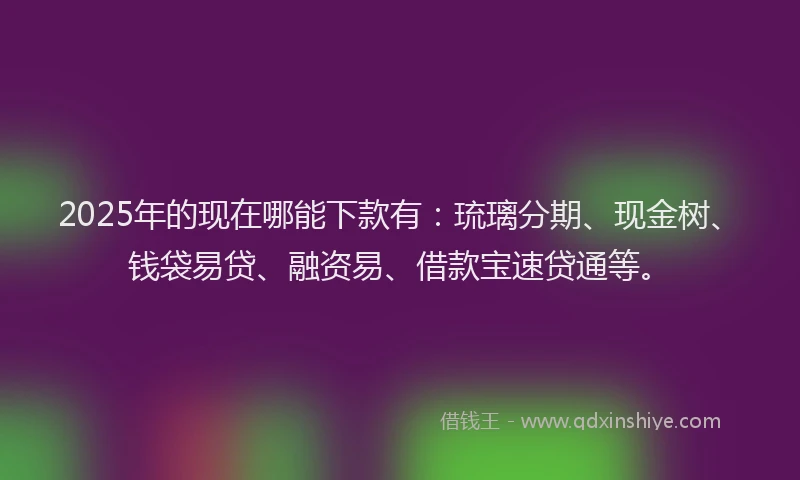 2025年的现在哪能下款有：琉璃分期、现金树、钱袋易贷、融资易、借款宝速贷通等。