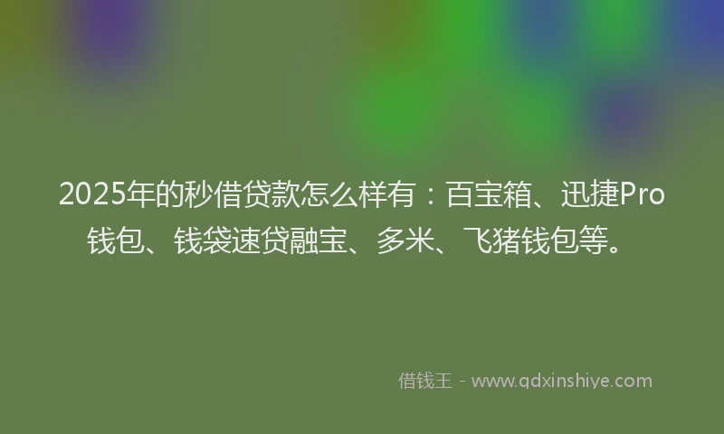 2025年的秒借贷款怎么样有：百宝箱、迅捷Pro钱包、钱袋速贷融宝、多米、飞猪钱包等。