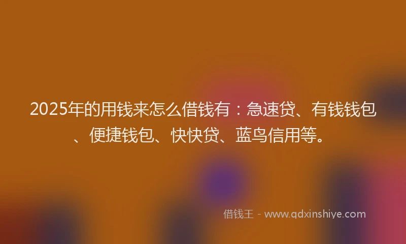 2025年的用钱来怎么借钱有：急速贷、有钱钱包、便捷钱包、快快贷、蓝鸟信用等。
