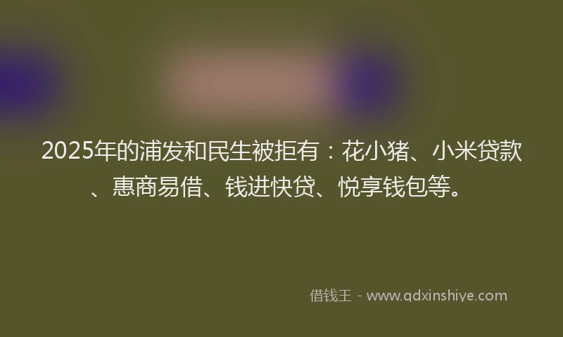 2025年的浦发和民生被拒有：花小猪、小米贷款、惠商易借、钱进快贷、悦享钱包等。