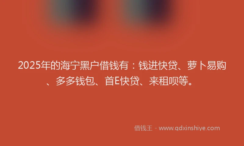2025年的海宁黑户借钱有：钱进快贷、萝卜易购、多多钱包、首E快贷、来租呗等。