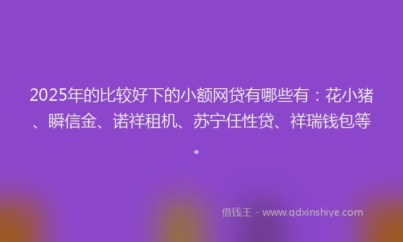 2025年的比较好下的小额网贷有哪些有：花小猪、瞬信金、诺祥租机、苏宁任性贷、祥瑞钱包等。