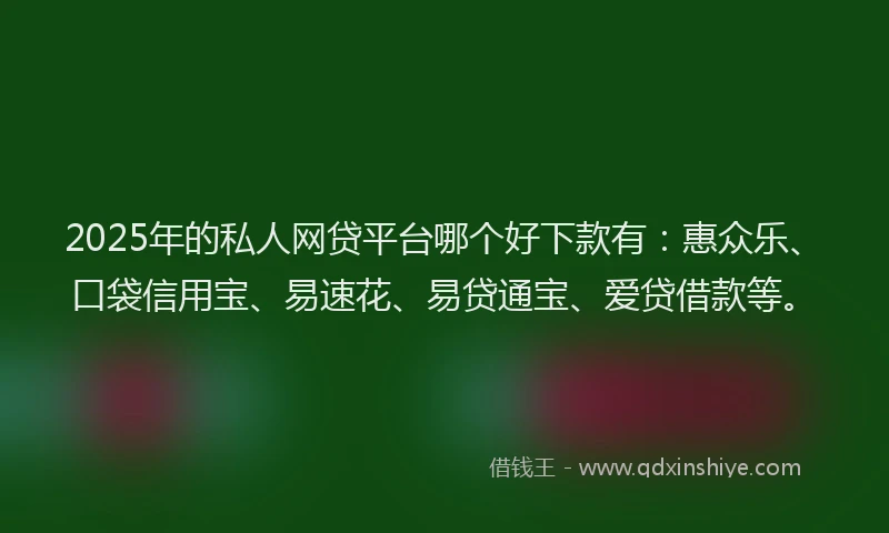 2025年的私人网贷平台哪个好下款有：惠众乐、口袋信用宝、易速花、易贷通宝、爱贷借款等。