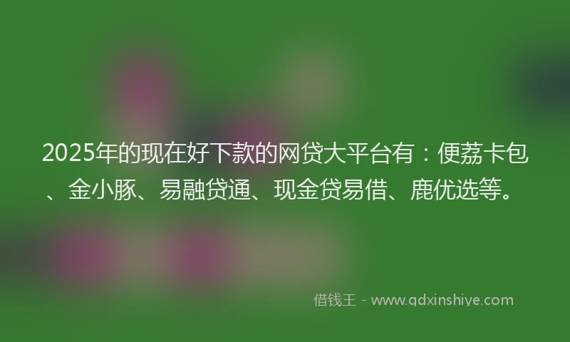 2025年的现在好下款的网贷大平台有：便荔卡包、金小豚、易融贷通、现金贷易借、鹿优选等。