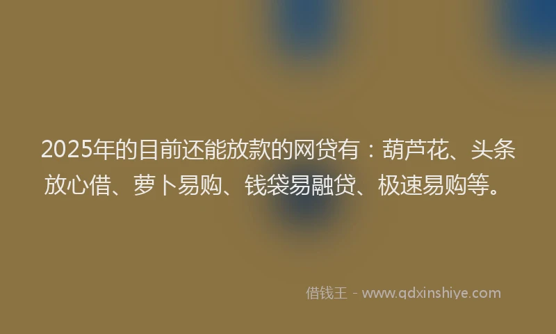 2025年的目前还能放款的网贷有：葫芦花、头条放心借、萝卜易购、钱袋易融贷、极速易购等。