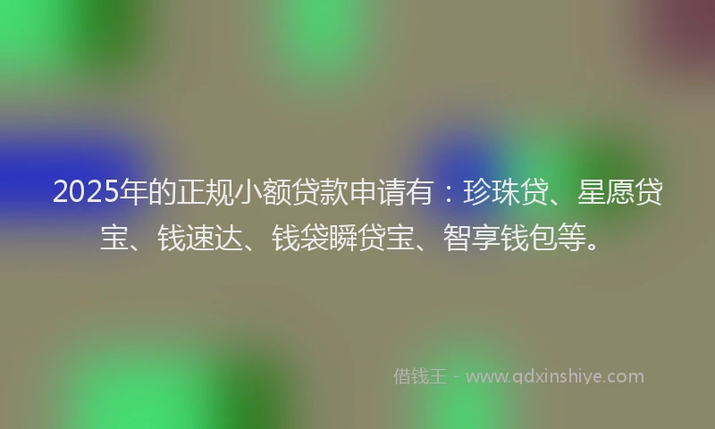 2025年的正规小额贷款申请有：珍珠贷、星愿贷宝、钱速达、钱袋瞬贷宝、智享钱包等。