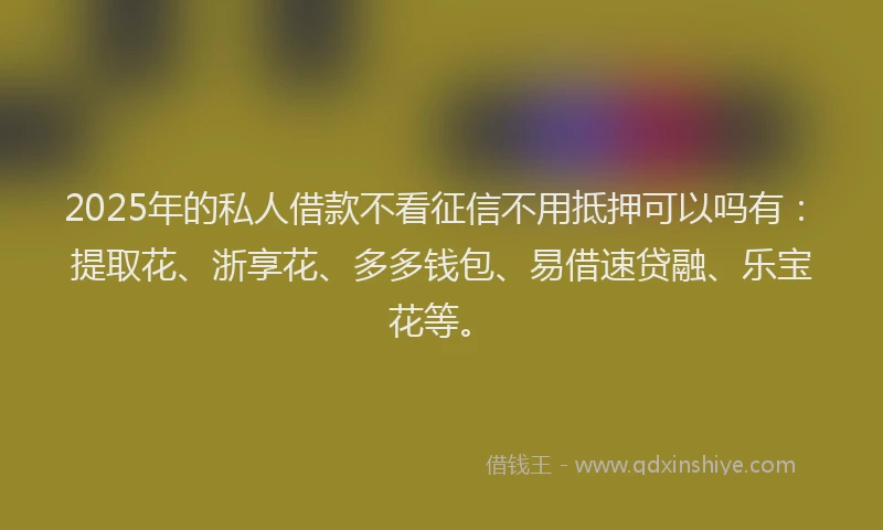 2025年的私人借款不看征信不用抵押可以吗有：提取花、浙享花、多多钱包、易借速贷融、乐宝花等。