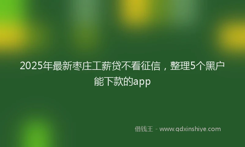 2025年最新枣庄工薪贷不看征信，整理5个黑户能下款的app